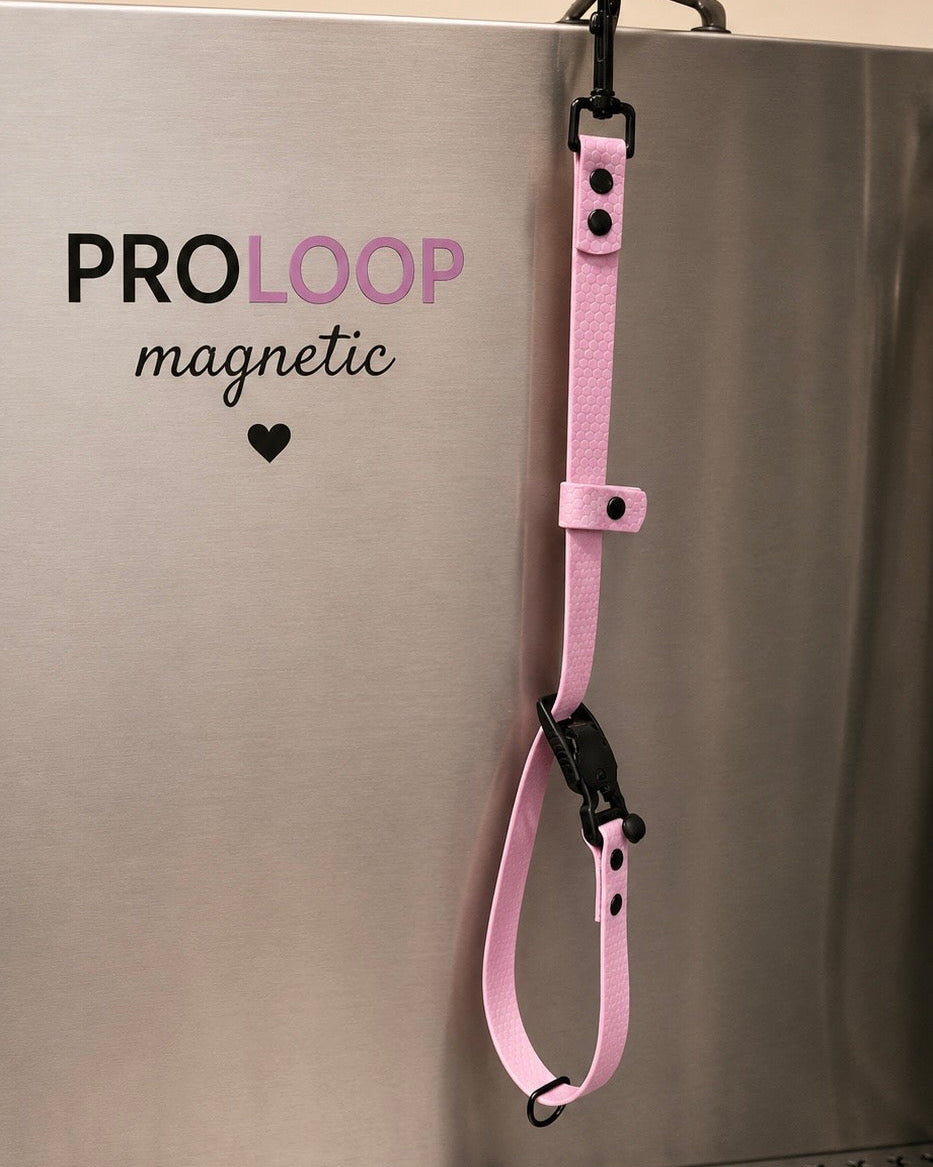 Proloop Magnetic-hals & badlus